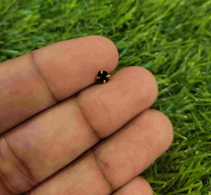 BLACK SINGLE STONE NOSEPIN BY MAYUKHI