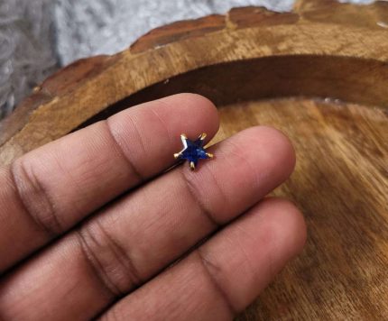 BLUE STAR  BY MAYUKHI