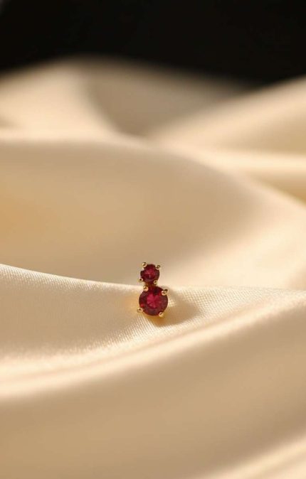 RED BEETLE BY MAYUKHI