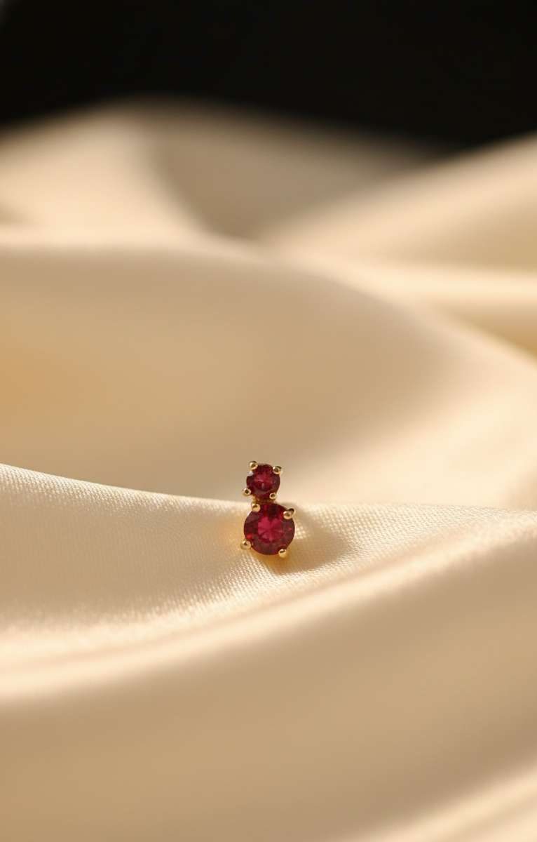 Compress_20251127_171545_5488 RED BEETLE BY MAYUKHI - Image 1