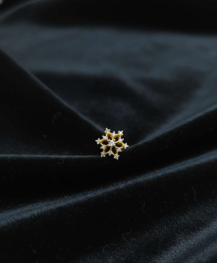 Compress_20251204_133333_3310 FLORAL SNOWFLAKE BY MAYUKHI - Image 1