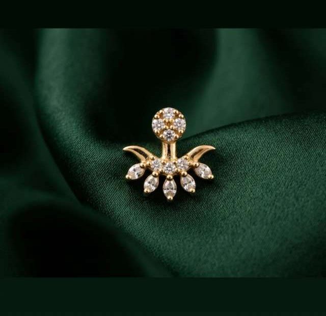 Compress_20260310_121118_8809 DESIGNER SERIES - PREMIUM AHAANA - Image 1