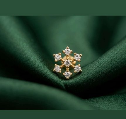 DESIGNER SERIES - PREMIUM MRIDHULA
